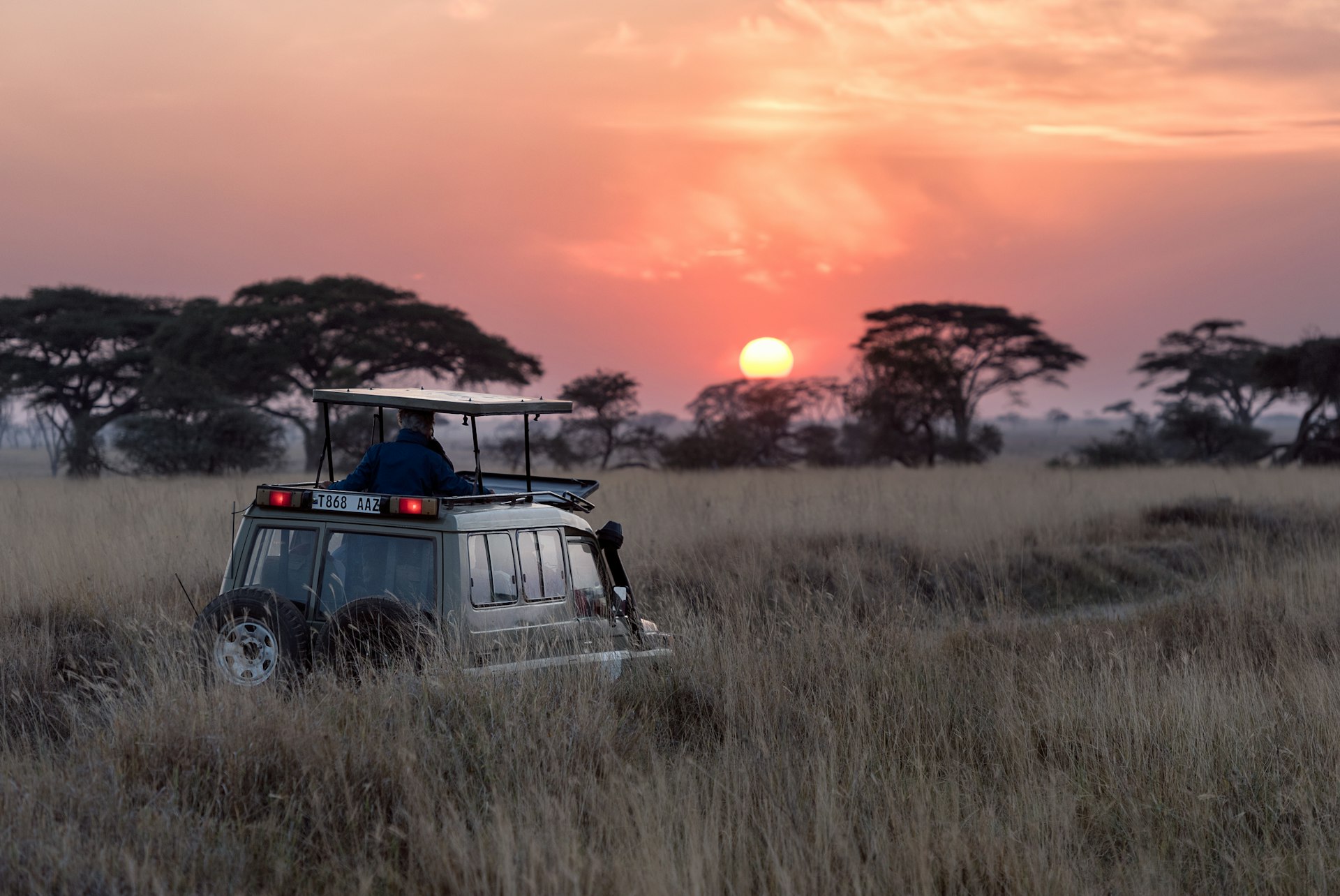 Safari landscape across East Africa